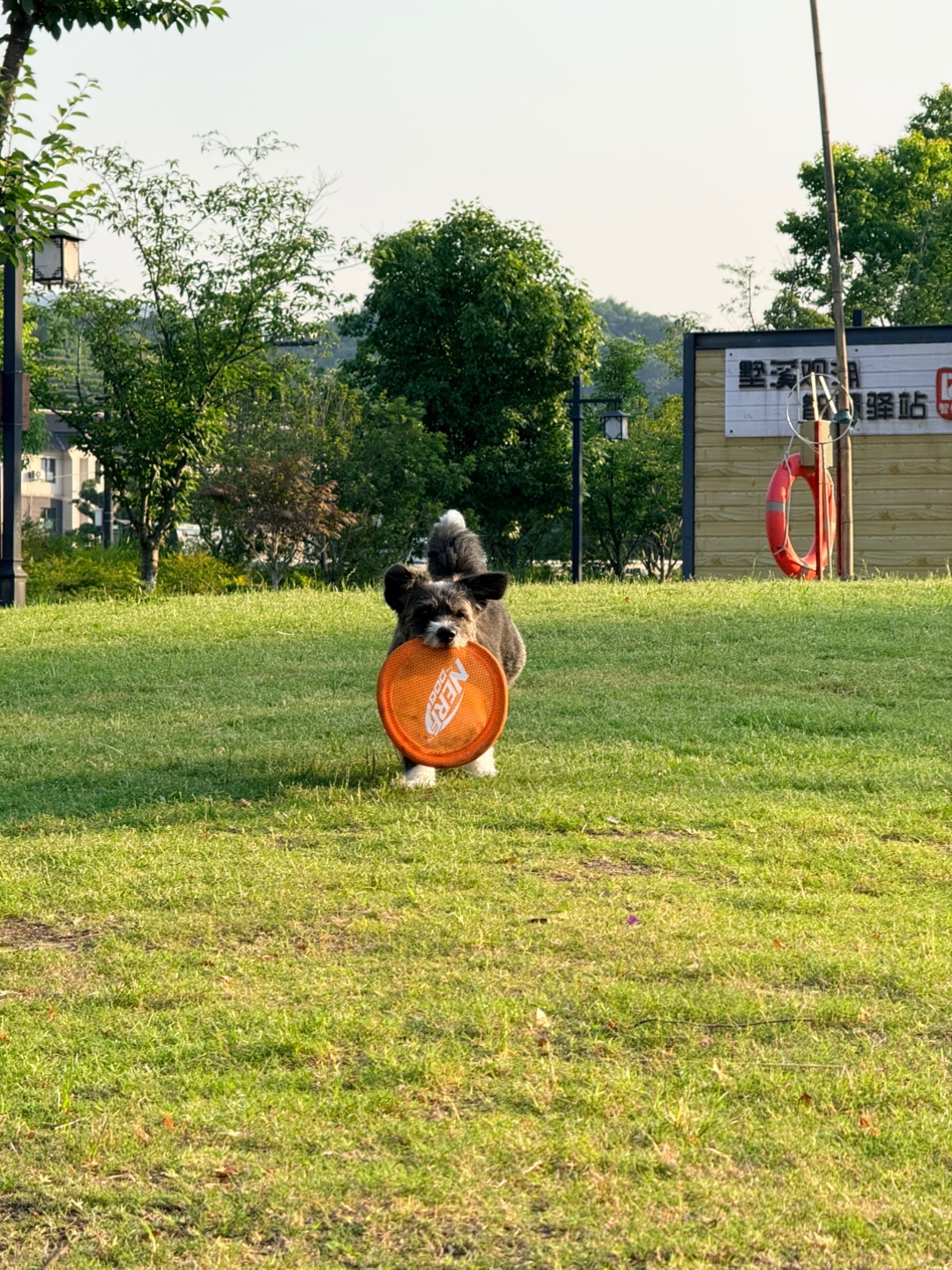 西五街