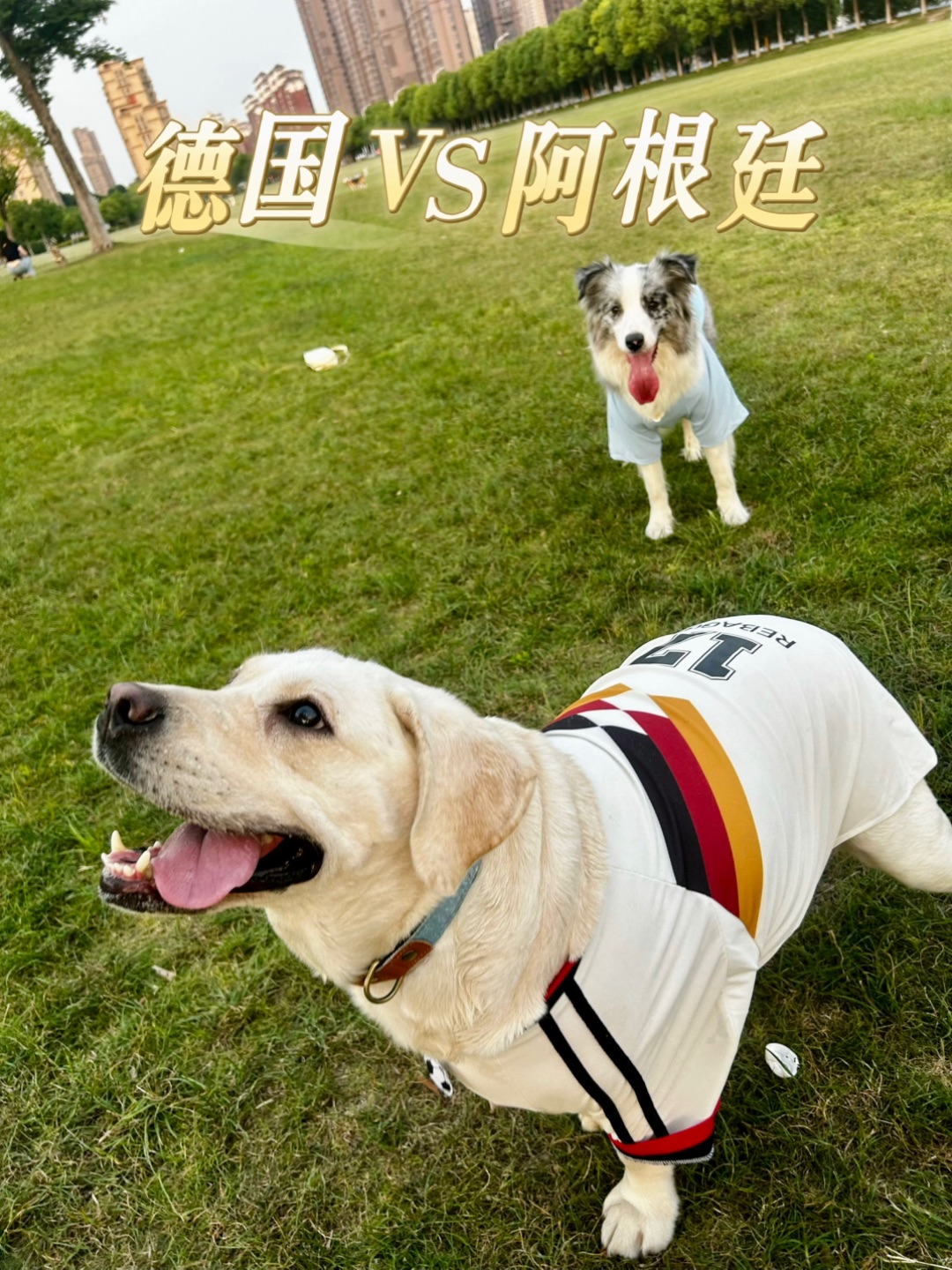 德国VS阿根廷，伪球迷姐妹敲好嗑🐶⚽