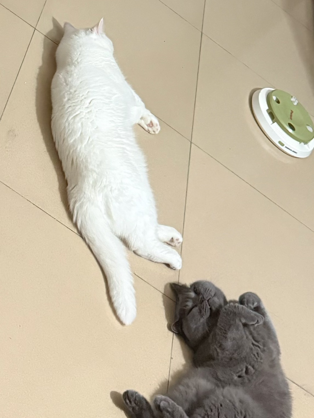 西五街