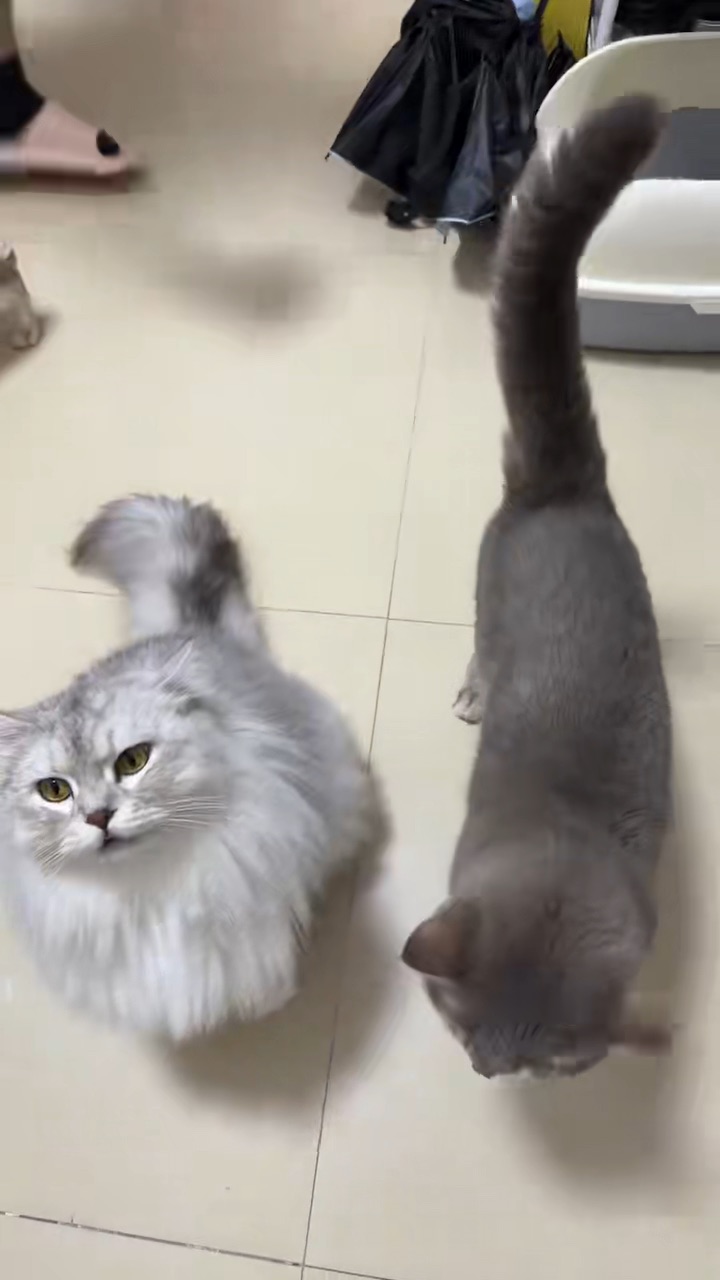 开饭咯