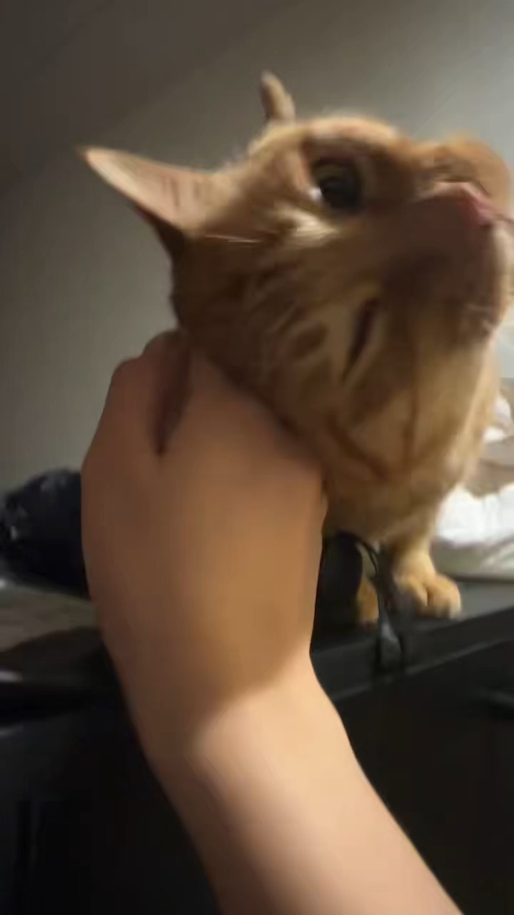人咪想你