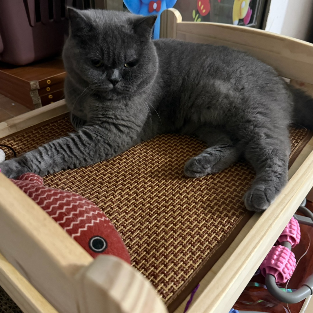 😼皮皮的「一秒变脸」名场面