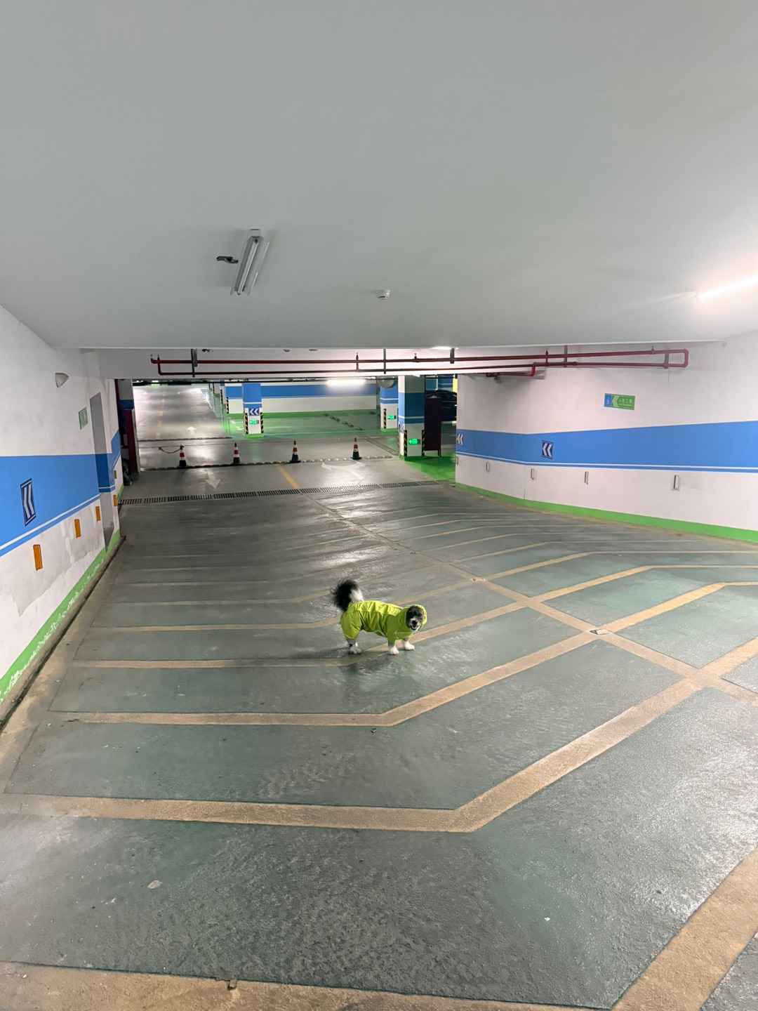 西五街