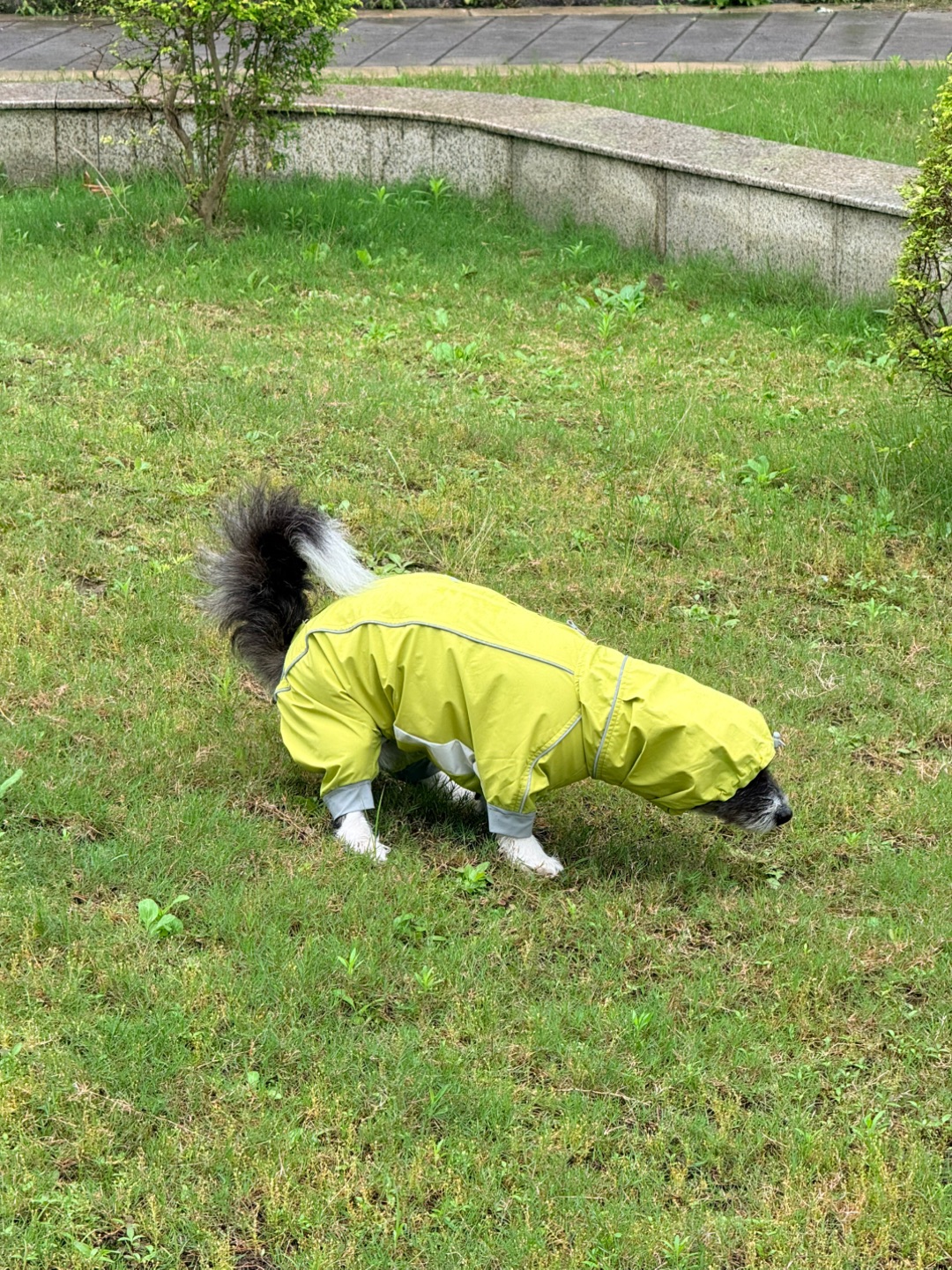 西五街