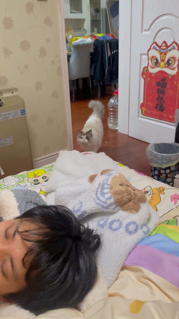 哈哈哈哈哈哈哈哈哈哈哈哈哈哈哈哈哈我笑得想尿你了