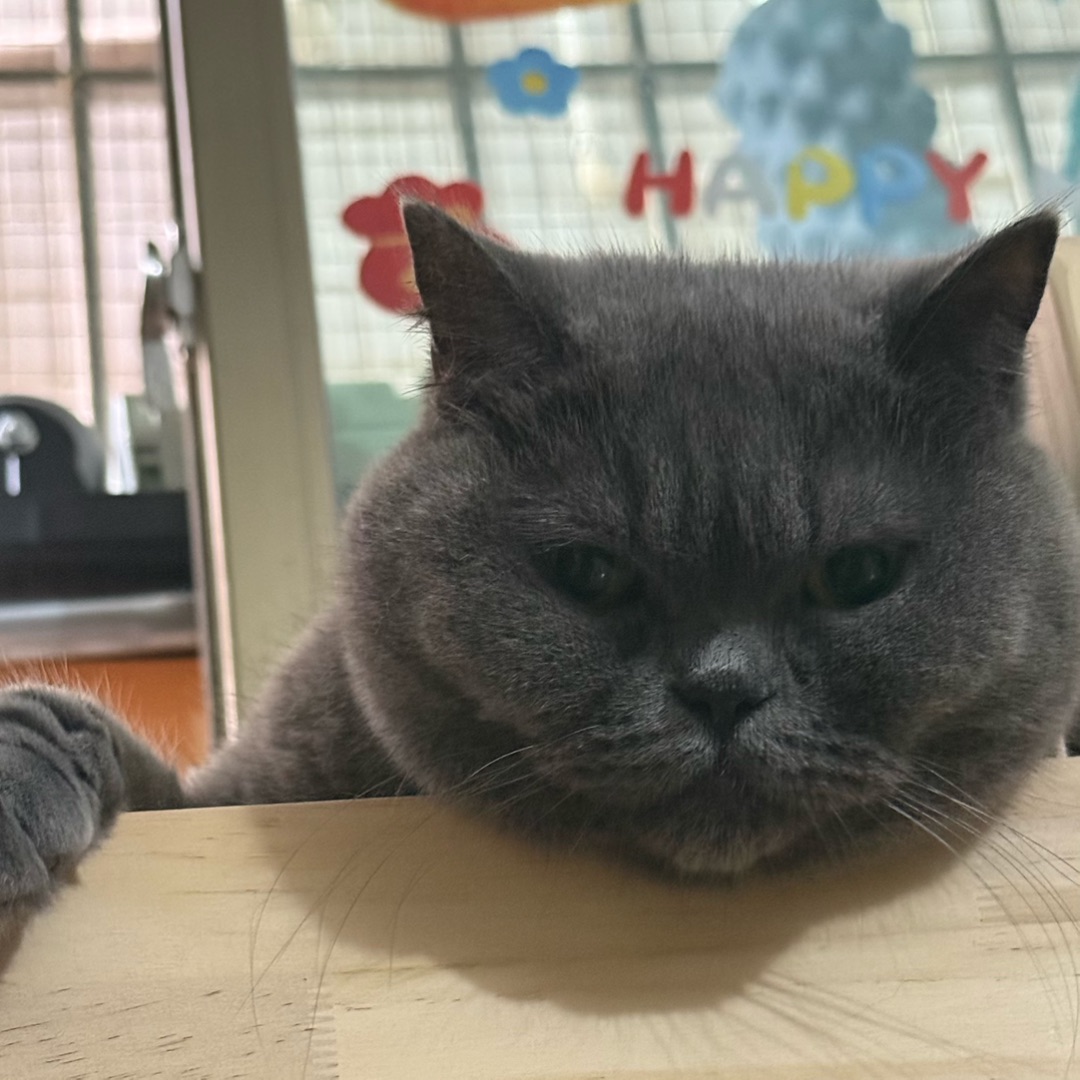 😴躺平日常