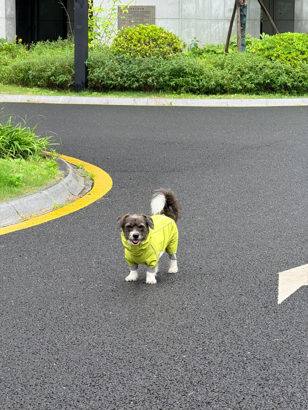 西五街