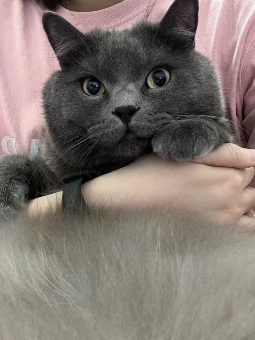 今天是小姨喜欢的样子❤️