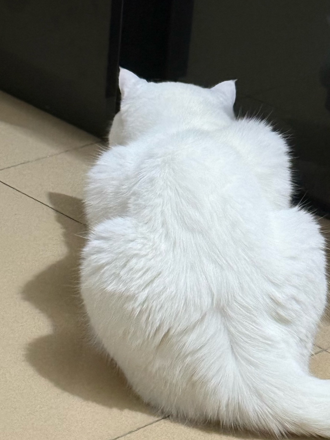 不知道在干嘛