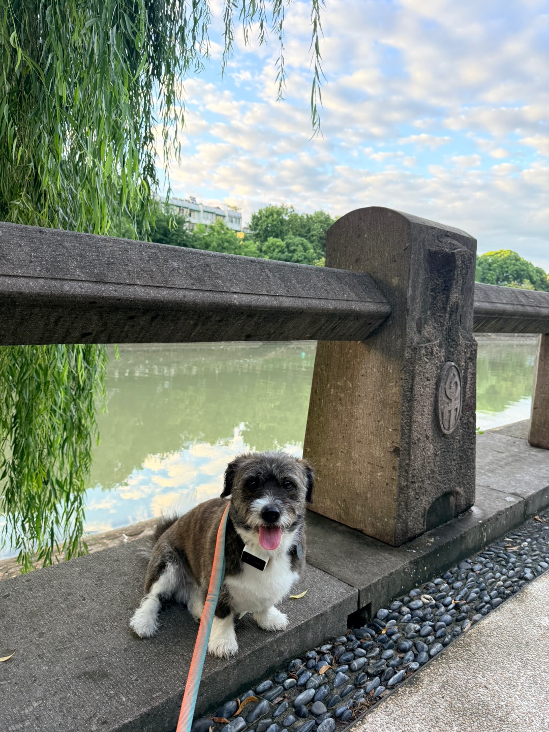西五街