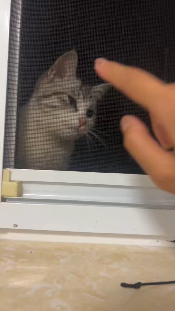 打卡