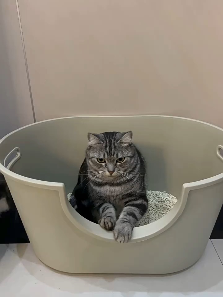 朋友家胖娃