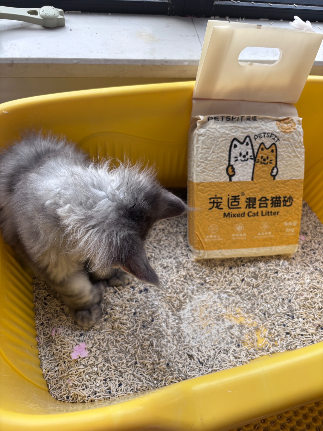 西五街