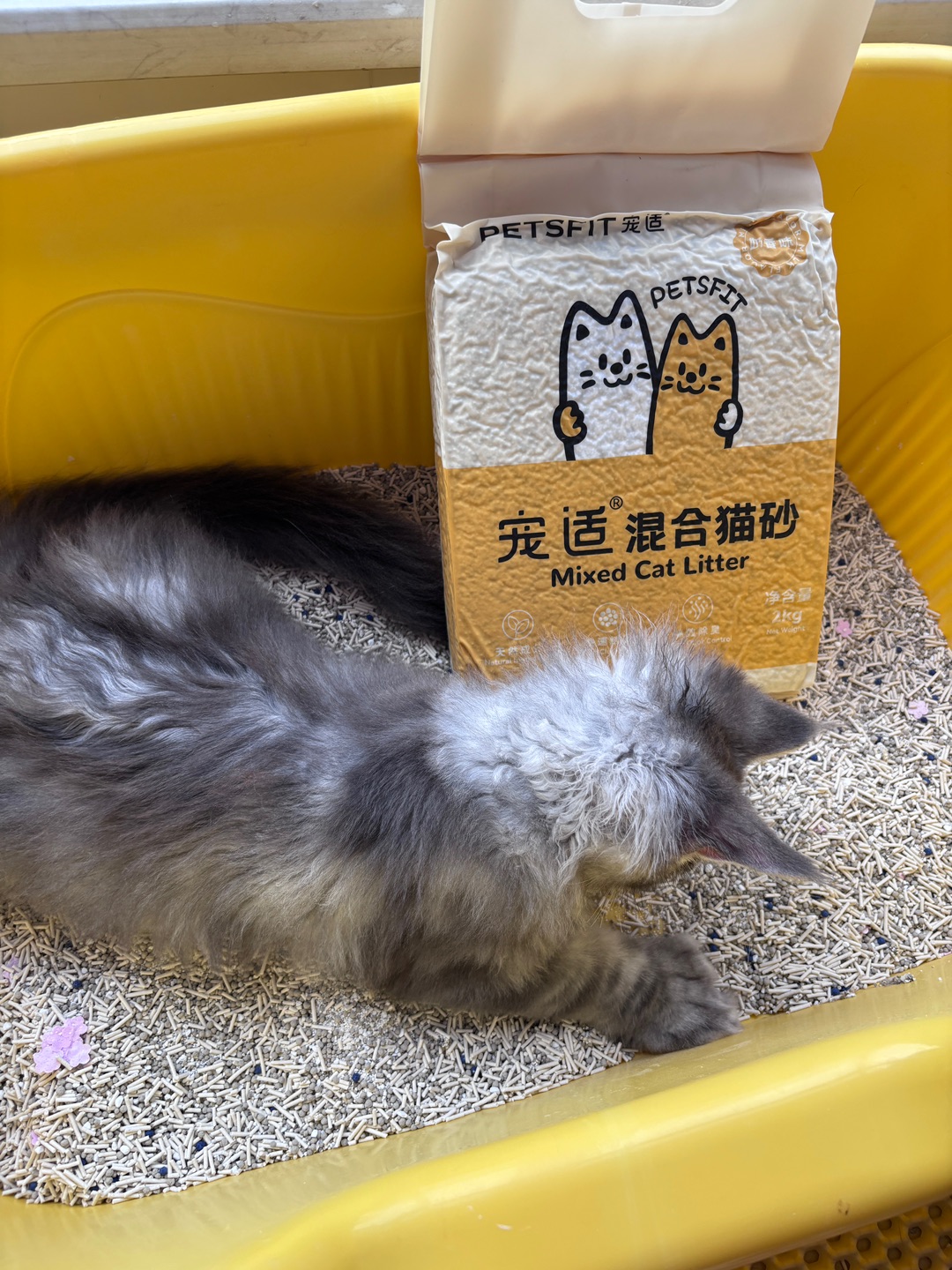 一款有🌸🌸的猫砂