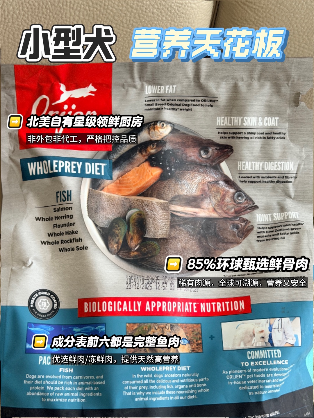 西五街