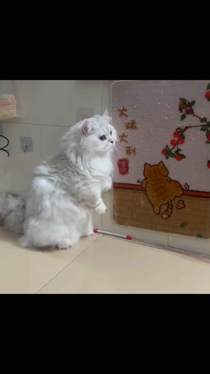 粽子节快乐
