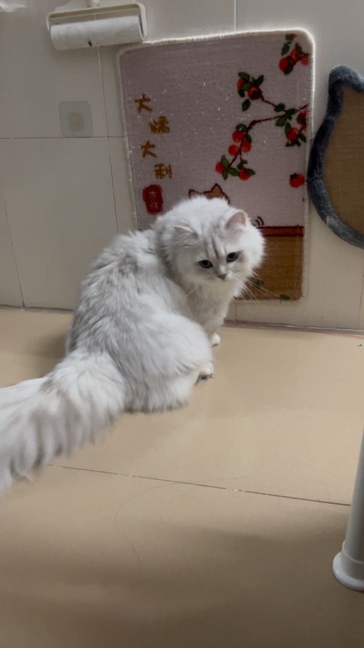 假装自己很忙