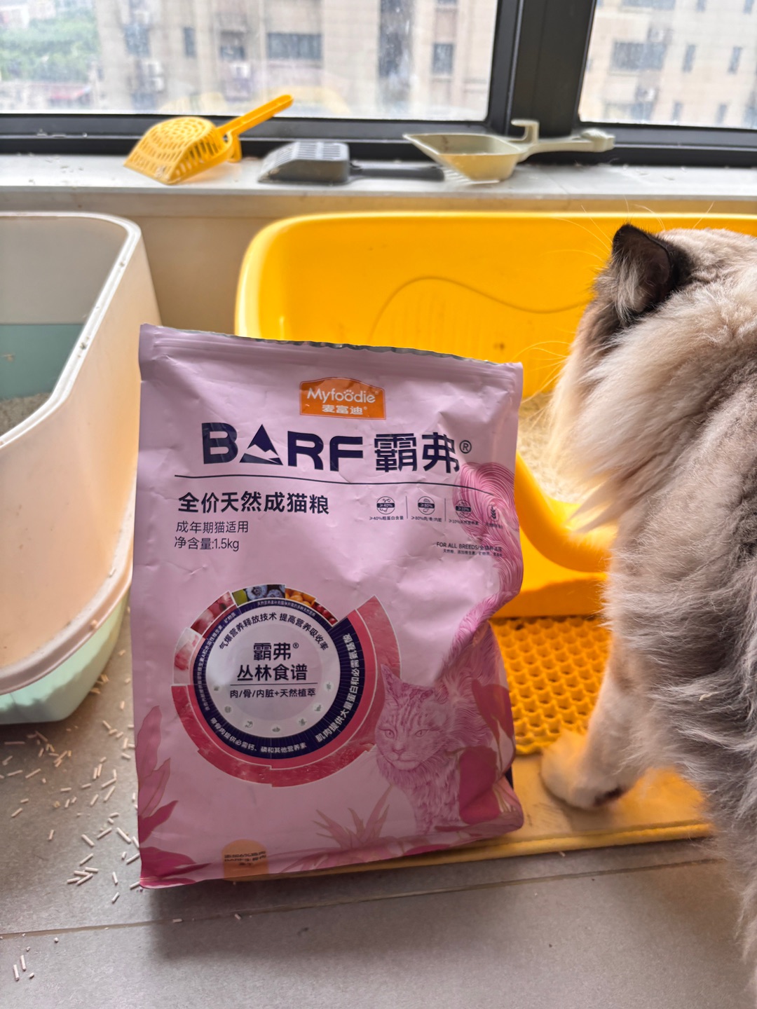 最近吃过的猫粮