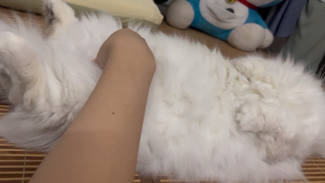 宝宝宝