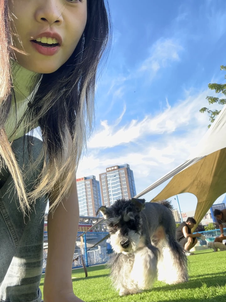 当你问小狗