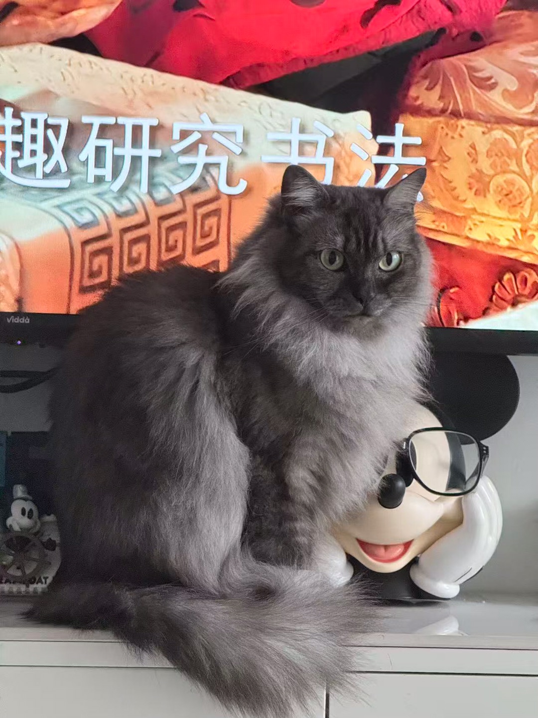 乖巧可爱