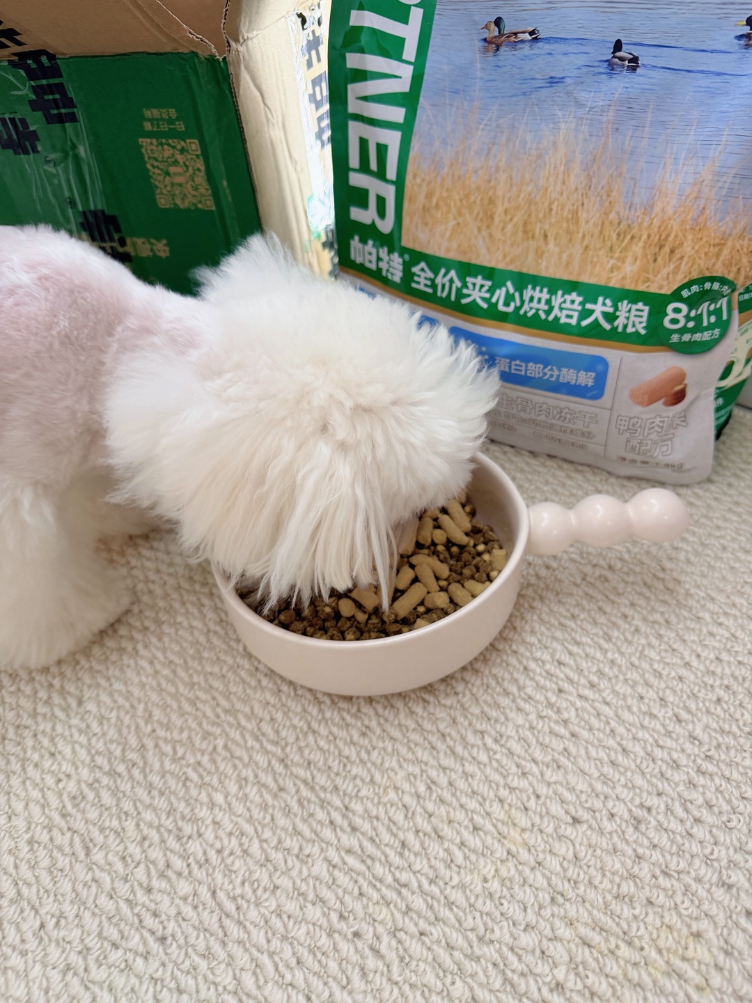 西五街