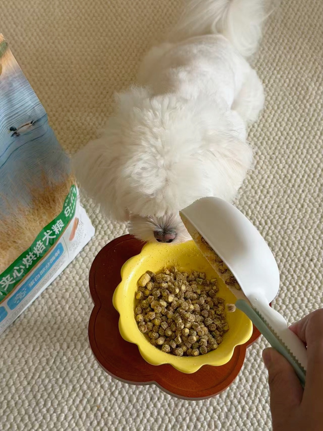 西五街