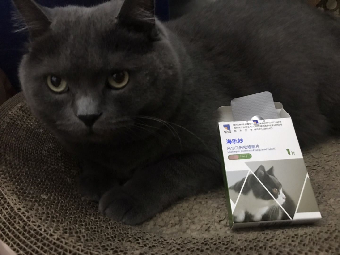 驱虫