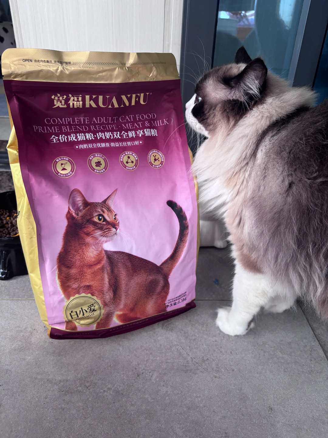 一袋猫粮吃一个星期