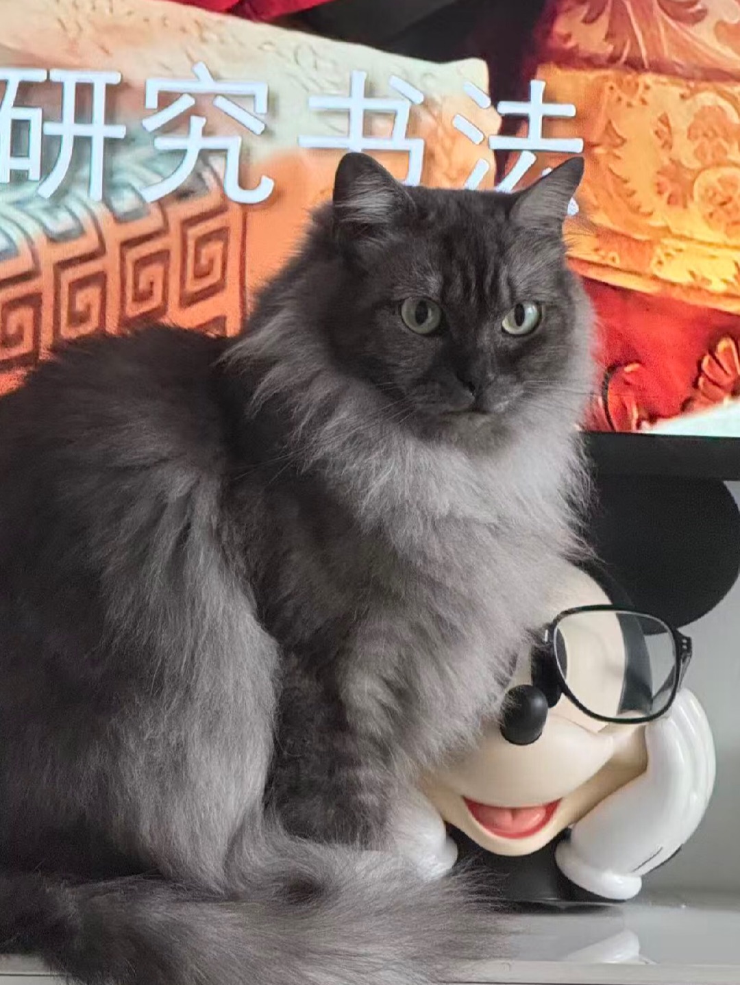定住啦