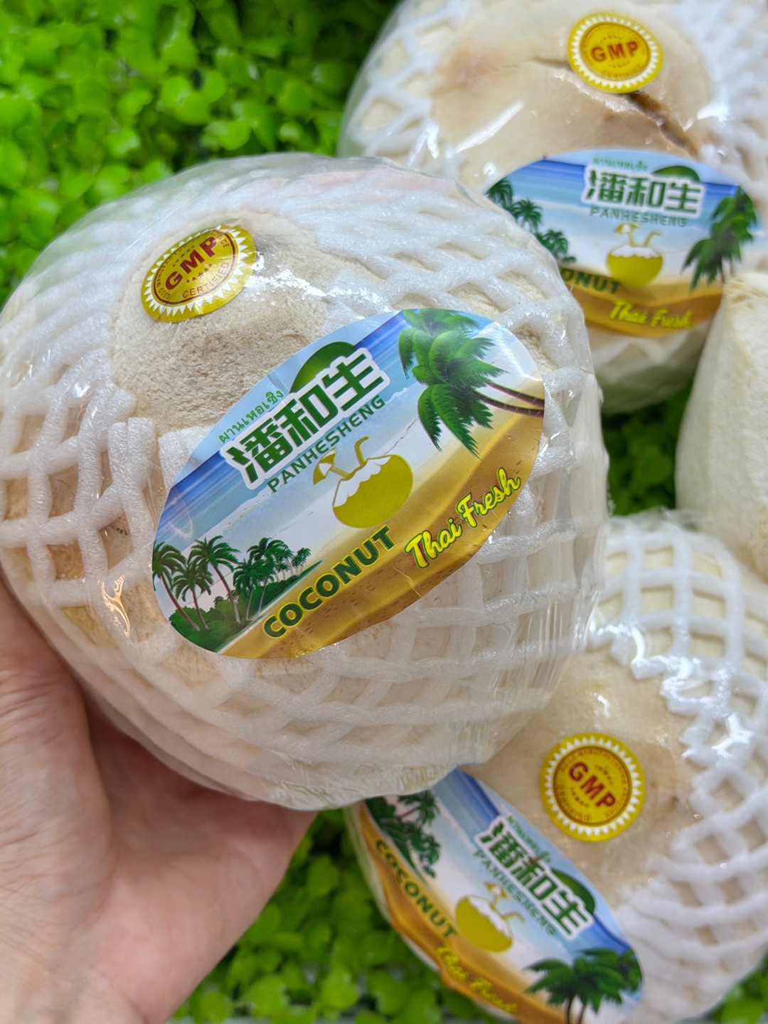 湛江bi逛鲜果店！！！夏日平价水果清单📝  不愧是湛江本地连锁水果店 门店多 就近选购也超方便  每日鲜果直达 人工精挑细选 颗颗饱满超甜 性价比很🉑平民价实现夏日鲜果自由 闭眼囤不心疼🐛 - 🔥必入爆款清单： ✔️泰国椰青 15.8 元 / 2 个  足足900g超大果 椰水清爽回甘 厚实椰肉 软糯Q弹 夏天解渴降温绝佳单品 . 👉🏻选购小贴士：明码标价/无隐形消费 /全城门店通用 店员可🆓帮忙...