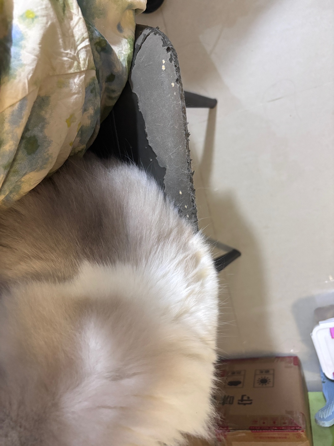 抢凳子