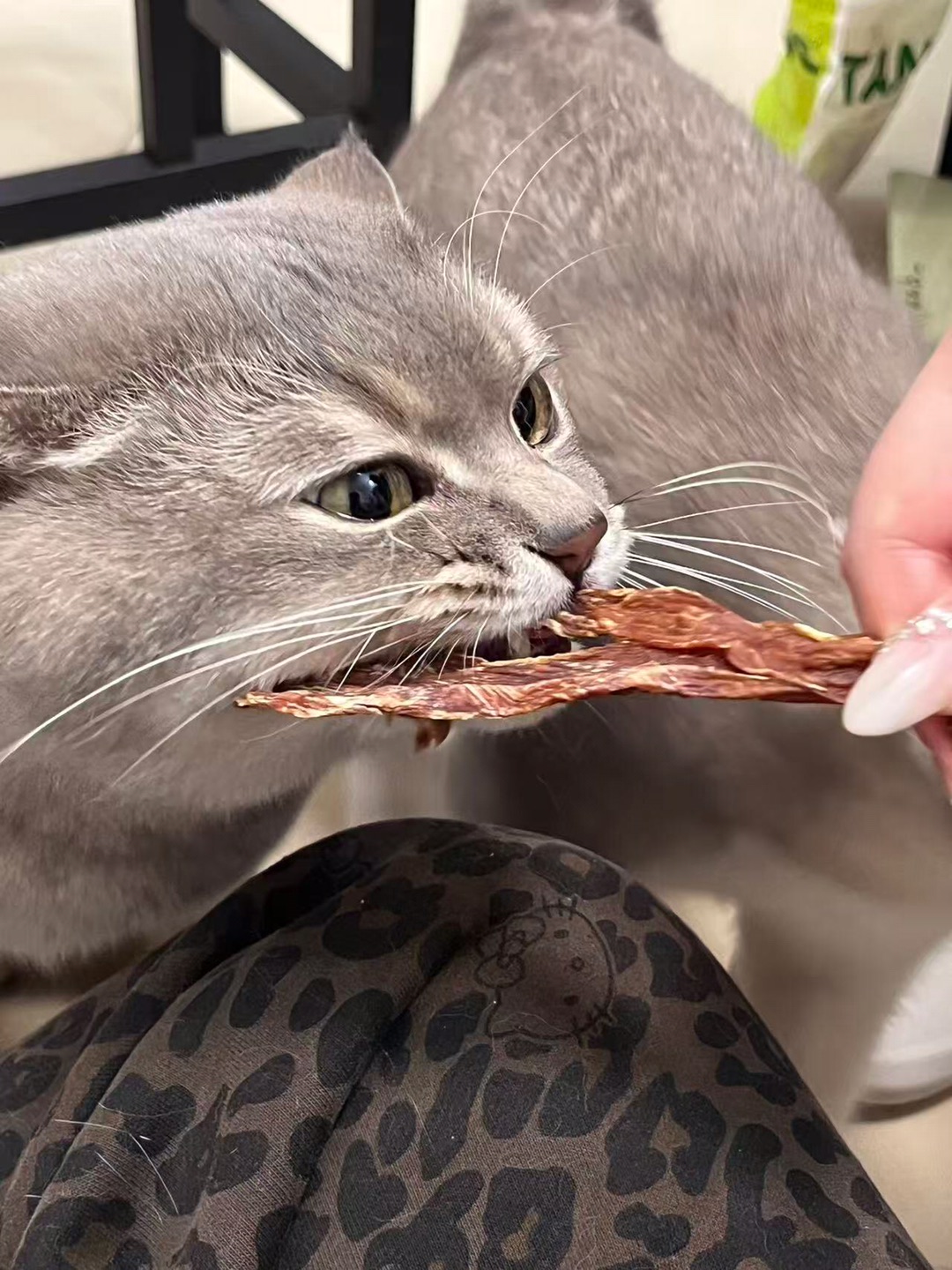 鸡肉干