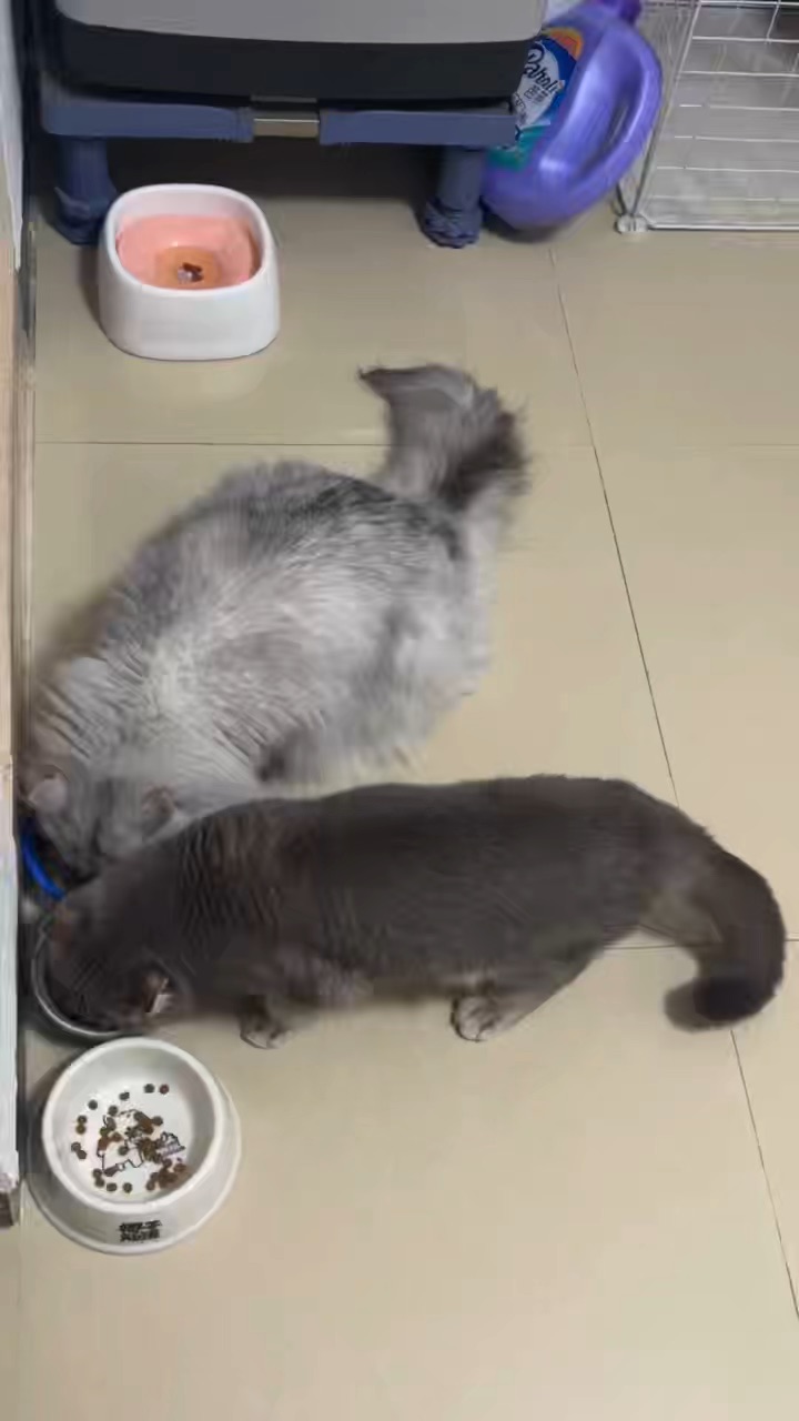 炫饭时间到