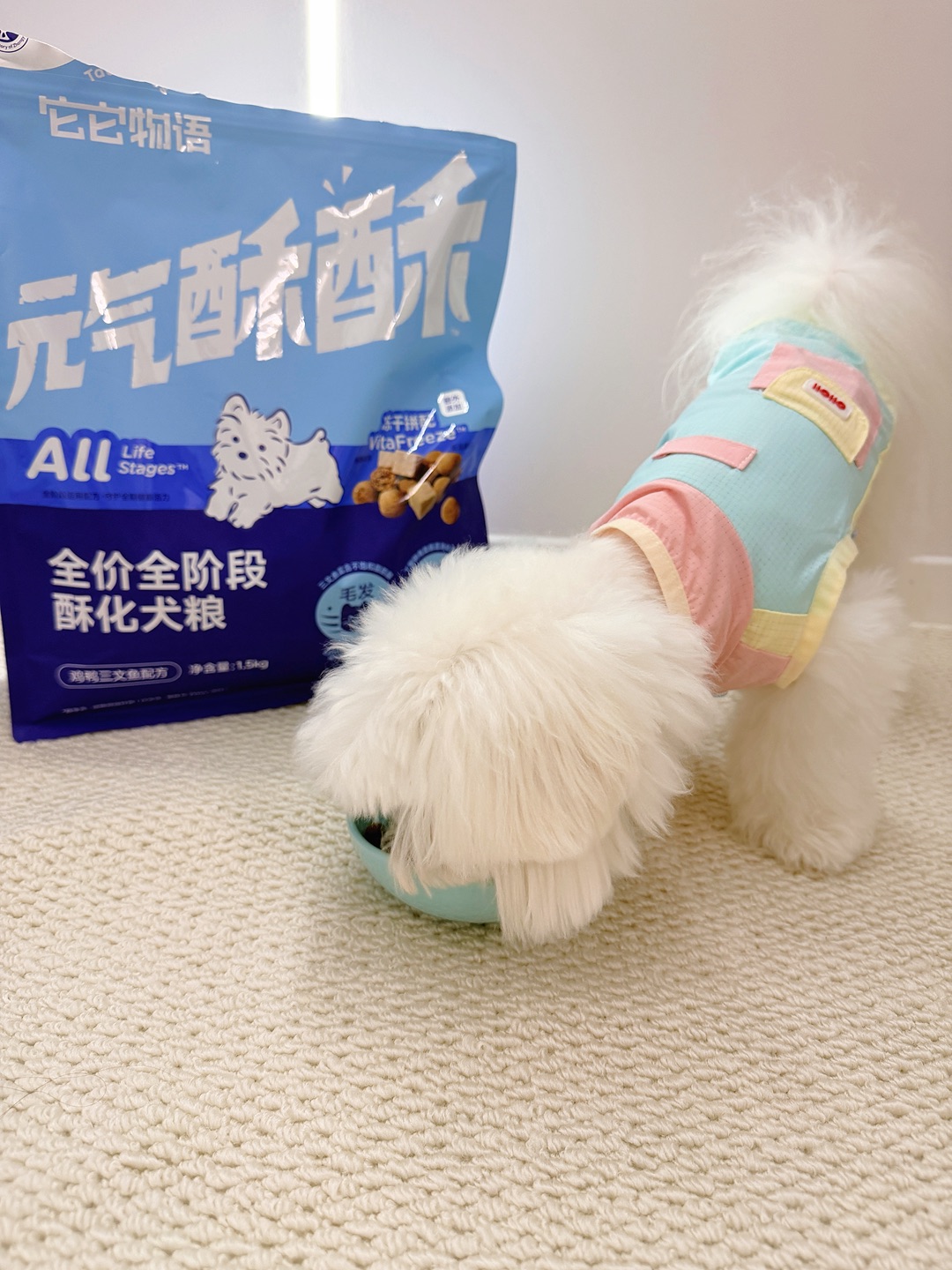 西五街
