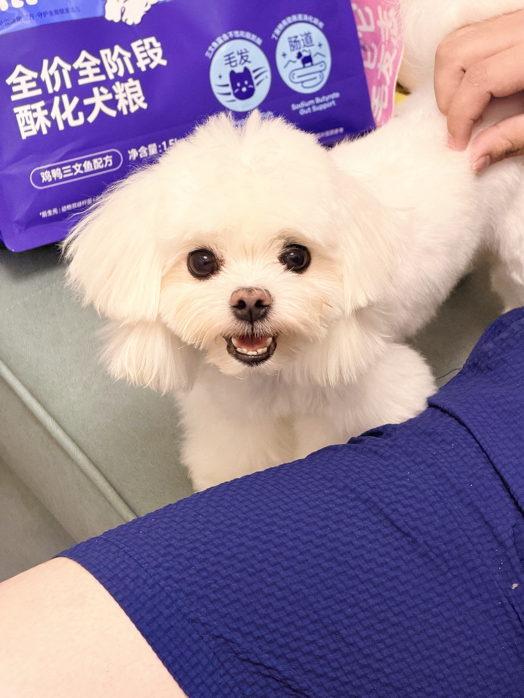 西五街