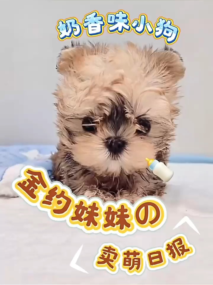 点开前：能有多可爱😅点开后：萌的血槽已空🆘