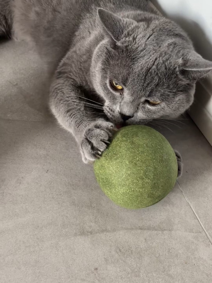 猫薄荷球