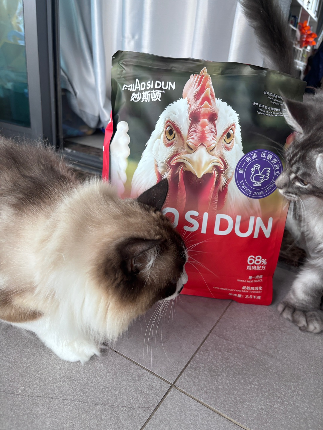 猫粮分享