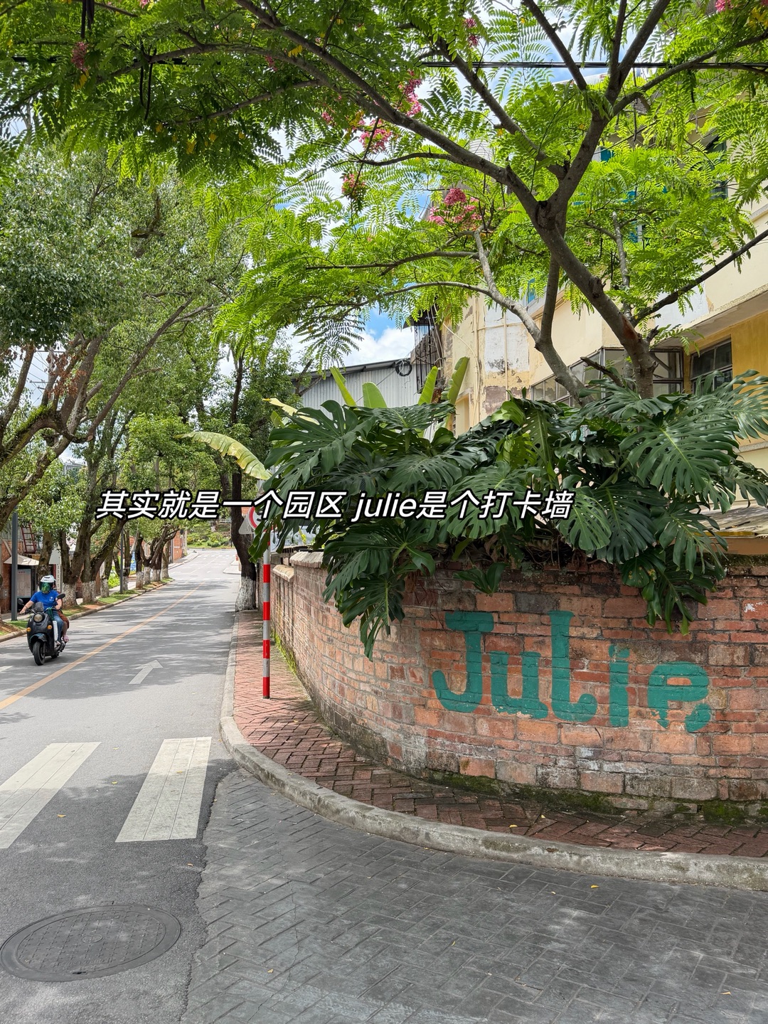 云南普洱拍照！行署大院打卡墙！巷子也可拍