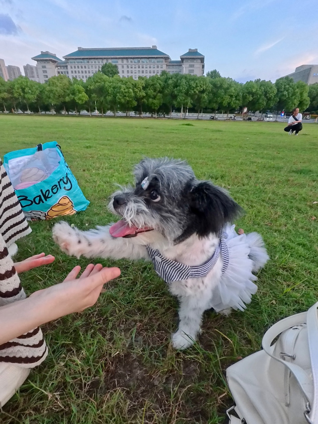 老演员 主打一个演技不错🐶