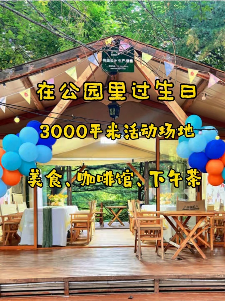 在朝阳公园里过生日