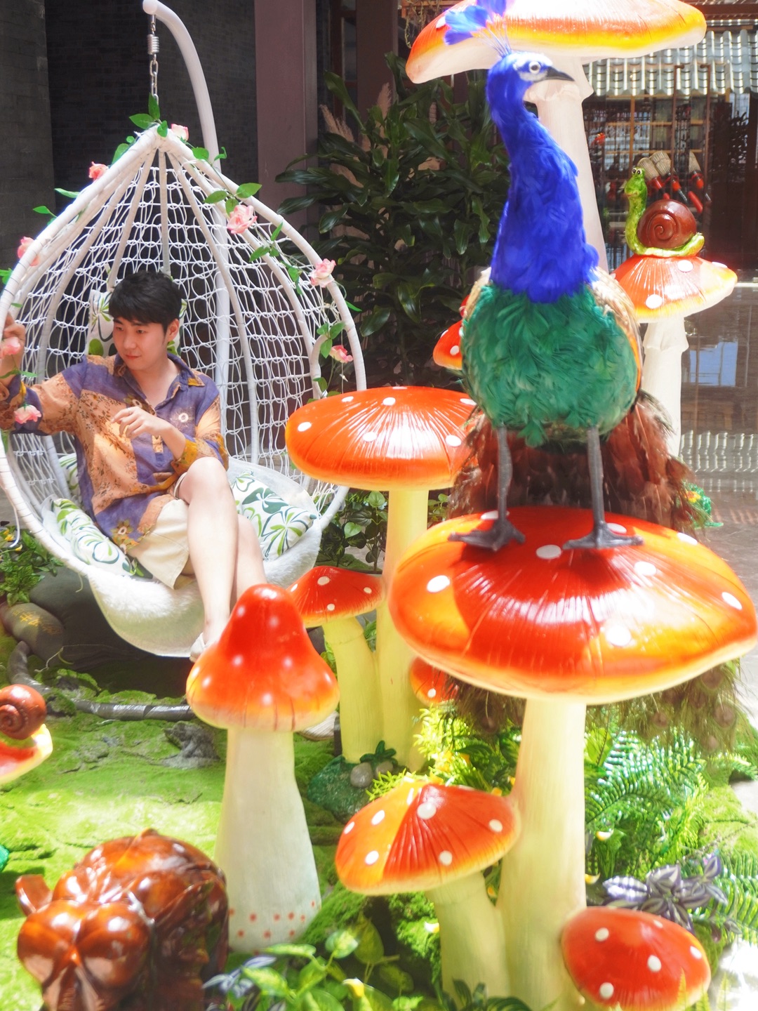 彩云天🍄寻鲜滇味之“鲜菌季”