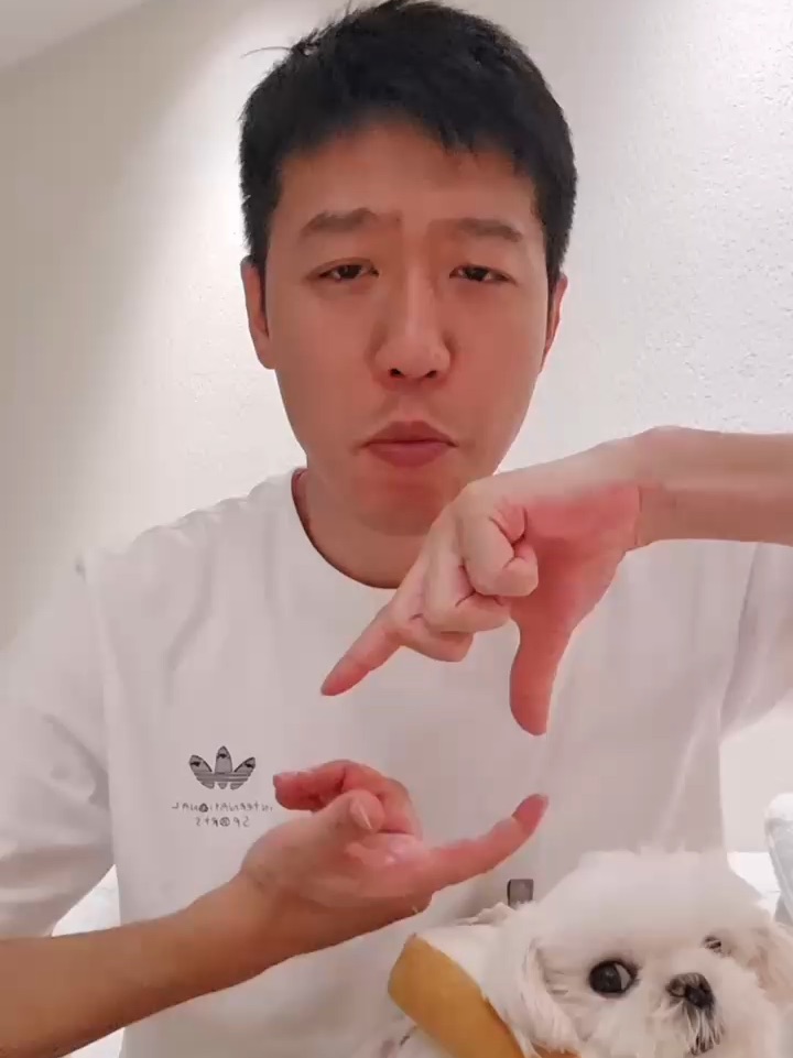 🐶：咳…快来看我爸表演“💊不能停”版手势舞