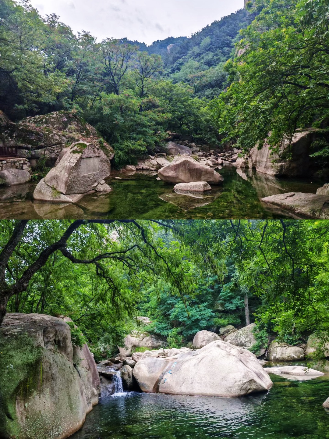 青岛避暑天花板！躲进18度北九水沉浸溯溪纳凉超治愈