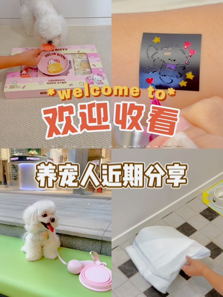 养宠女孩近期好物合集✨件件戳心巴💖