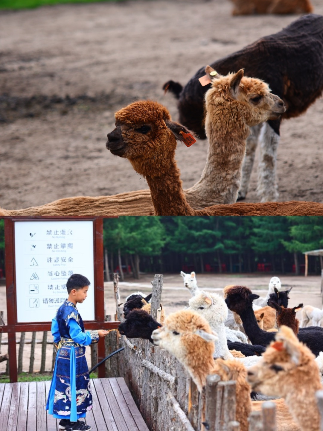 西五街