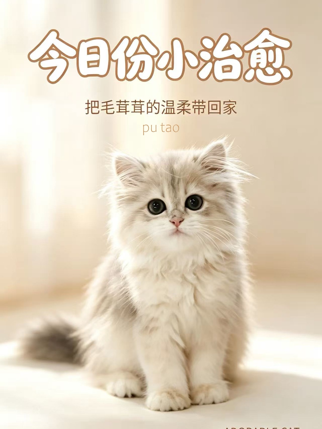 让我看看姨姨们家的小宝吧