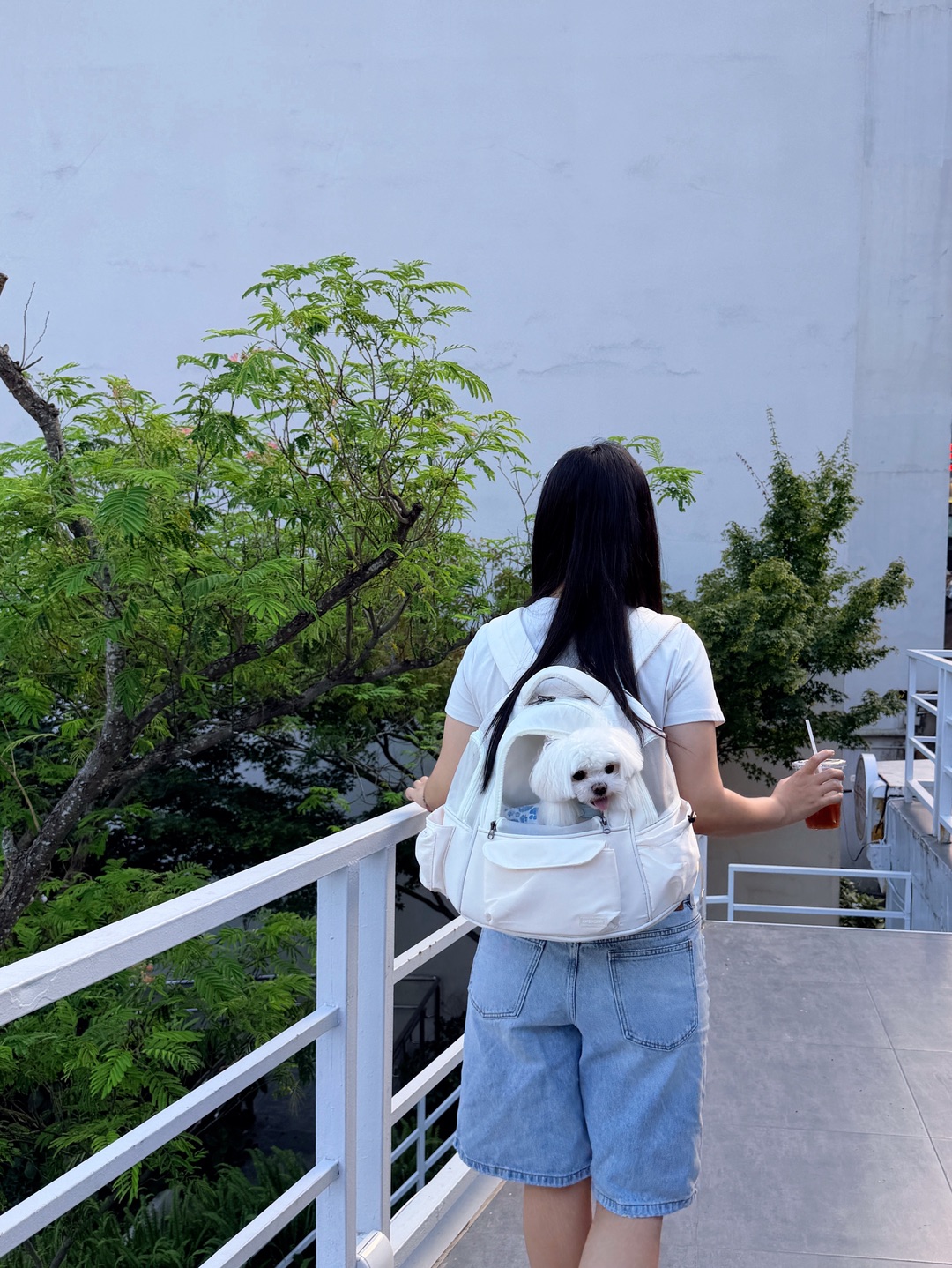书包里长小狗啦🎒🐶