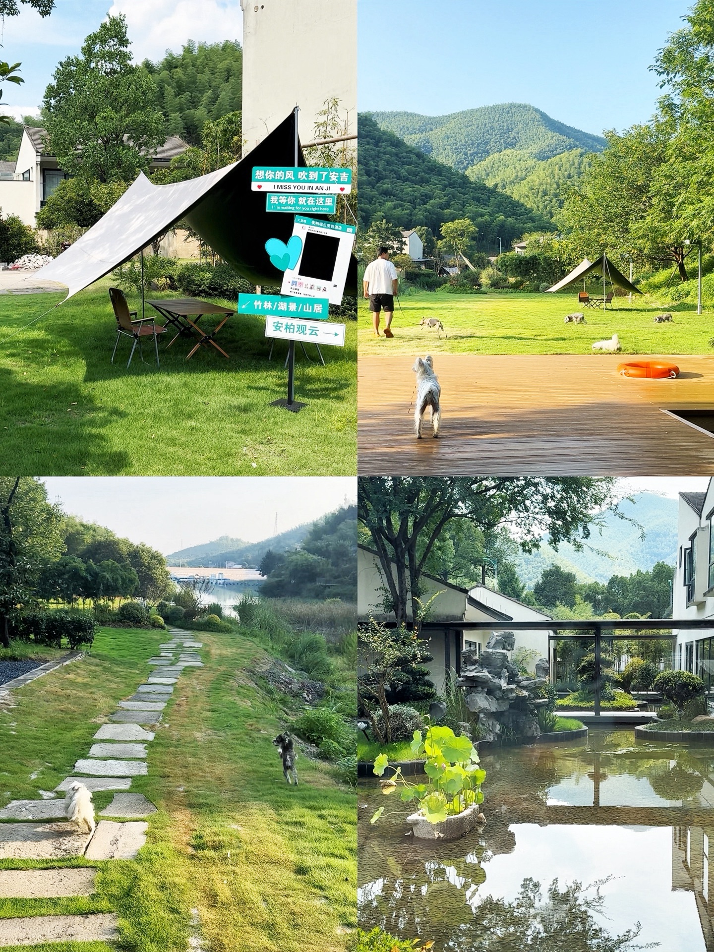 我要不要为小狗们搬个家？🏠